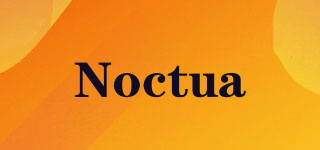 Noctua/Noctua